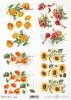 akwarelowe tła, kwiaty 3D, nagietek, słonecznik, maki, nasturcja*Watercolour background, 3D flowers, marigold, sunflower, poppies, nasturtium*Aquarell-Hintergrund, 3D-Blumen, Ringelblume, Sonnenblume, Mohnblumen, Kapuzinerkresse*Fondo de acuarela, flores 